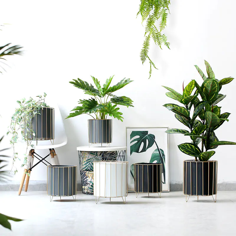 Nordic Style Iron Planter with Gold Trim