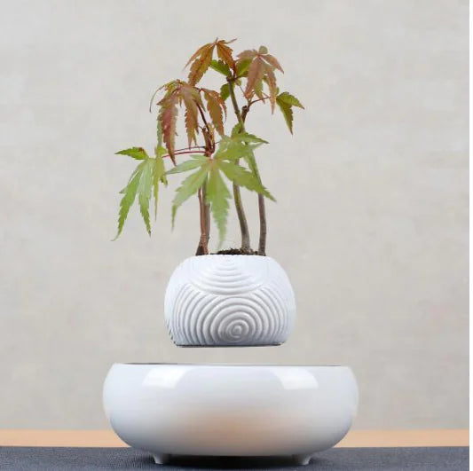 Floating Potted Plant Decor