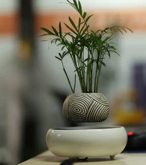 Floating Potted Plant Decor