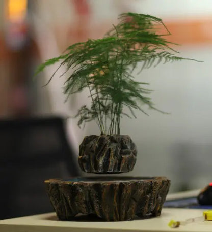 Floating Potted Plant Decor