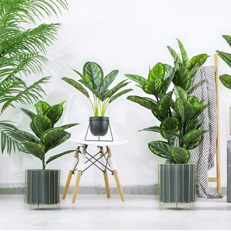 Nordic Style Iron Planter with Gold Trim