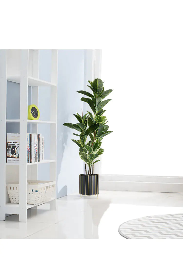 Nordic Style Iron Planter with Gold Trim
