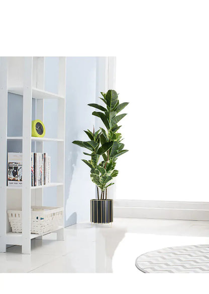 Nordic Style Iron Planter with Gold Trim